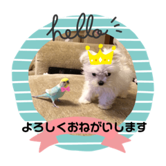 [LINEスタンプ] Bell すたんぷ