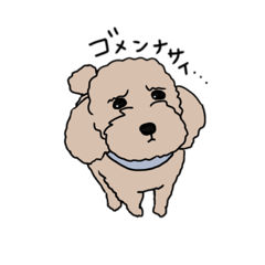 [LINEスタンプ] 困り顔プードル(poodle)1