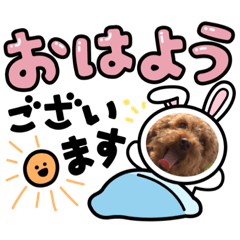 [LINEスタンプ] きゃわいいーーーーーーーーーーー