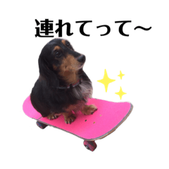 [LINEスタンプ] 寺健キング