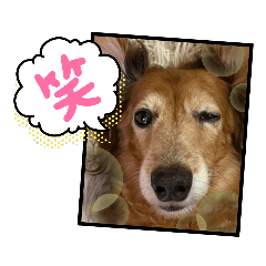 [LINEスタンプ] めりんぷ③
