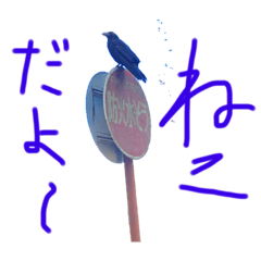 [LINEスタンプ] 交通ルールを学ぶ教室〈明日は木曜日？〉