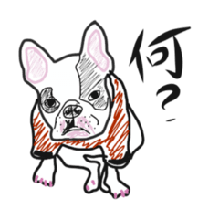 [LINEスタンプ] てんつくの日常