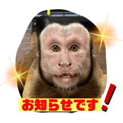[LINEスタンプ] 福ちゃんⅡ