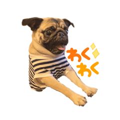 [LINEスタンプ] パグの仁くんスタンプ4