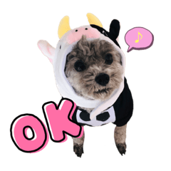 [LINEスタンプ] イヌスタンプ(ぼるぼ)