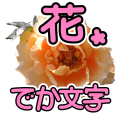 [LINEスタンプ] 花 簡単会話 でか文字の画像（メイン）