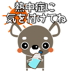 [LINEスタンプ] 犬好きなあなたへ ちわわ 夏 暑中見舞い等