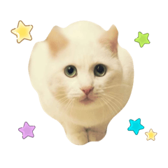 [LINEスタンプ] ゆきちゃんスタンプ。