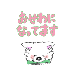 [LINEスタンプ] ウェスティのぽっちゃん(敬語編)