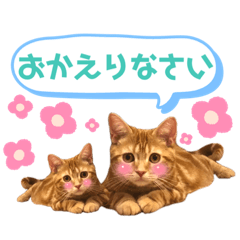 [LINEスタンプ] ただただ可愛いこうめちゃんスタンプ敬語篇