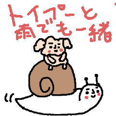 [LINEスタンプ] トイプーと一緒♪＜雨・梅雨・天気＞