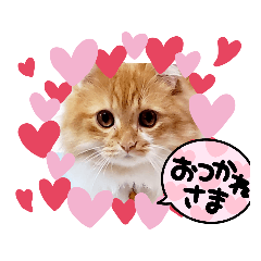 [LINEスタンプ] むぎ＆がんちゃん ミヌエット猫のスタンプ