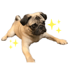 [LINEスタンプ] パグの仁くん 4