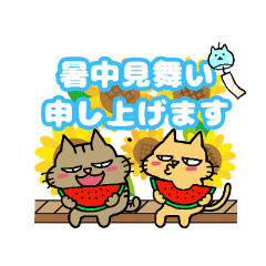 [LINEスタンプ] 夏☆キジねこ ひめ太と茶トラのちょむ太