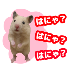 [LINEスタンプ] きなこの使いやすいスタンプ