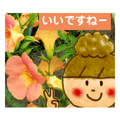 [LINEスタンプ] イラちゃんとお花スタンプ