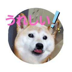 [LINEスタンプ] さくらと一緒 2