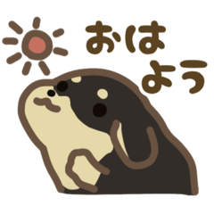 [LINEスタンプ] ダックスフンドのまんまるね