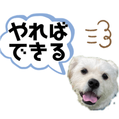 [LINEスタンプ] 元気が出る！ポジティブ応援スタンプ