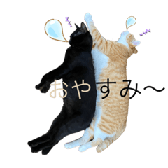[LINEスタンプ] 3匹のお猫Part2