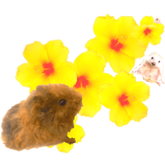 [LINEスタンプ] ハリネズミ ウサギ 花