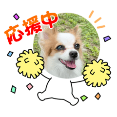 [LINEスタンプ] パピヨンのぴのちゃんのスタンプ♡5
