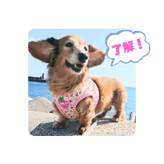 [LINEスタンプ] めりんぷ④