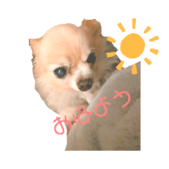 [LINEスタンプ] マックスねーね