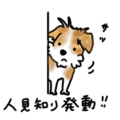 [LINEスタンプ] 恥ずかしがり犬 しぐちゃん