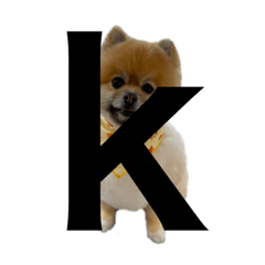 [LINEスタンプ] kを下さい。