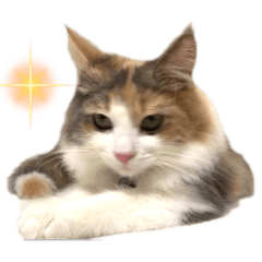 [LINEスタンプ] シエル8