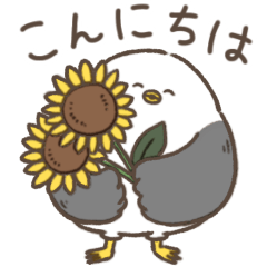 [LINEスタンプ] まんまるカモメ 夏