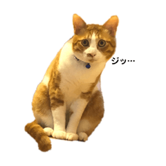 [LINEスタンプ] みんなのなかよし3人組（第二弾）