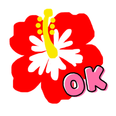 [LINEスタンプ] Hawaii☆かわいい