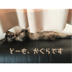 [LINEスタンプ] かぐらです。vol.2