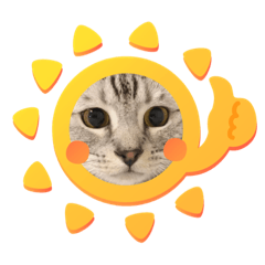 [LINEスタンプ] ウチらのねる坊スタンプ