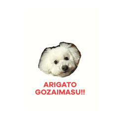 [LINEスタンプ] うちのマリースタンプ2