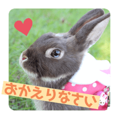 [LINEスタンプ] うさぎのめいたろう2