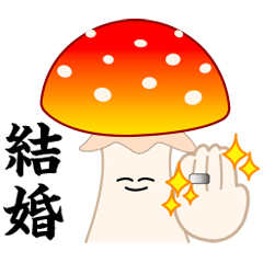 [LINEスタンプ] きのこな毎日