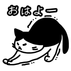 [LINEスタンプ] 毎日ハチワレにゃんこ