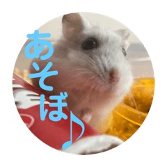 [LINEスタンプ] まめすた第3弾