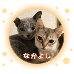 [LINEスタンプ] ぬことぬこ