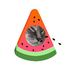 [LINEスタンプ] シャムトラたろう♡