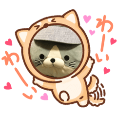 [LINEスタンプ] 日常で使える写真だらけのスタンプ