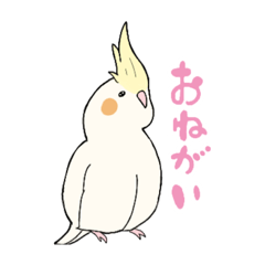 [LINEスタンプ] オカメインコの日常2