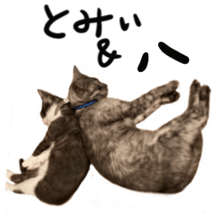 [LINEスタンプ] とみぃ＆八