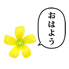 [LINEスタンプ] 野花 黄いろ と ふきだし