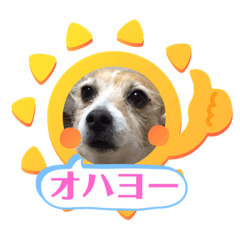 [LINEスタンプ] 大迫モモ