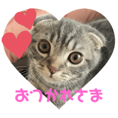 [LINEスタンプ] ぽこぽこあいさつすたんぷ
